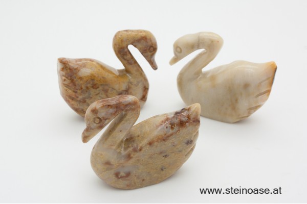 Schwan Speckstein Gr.S